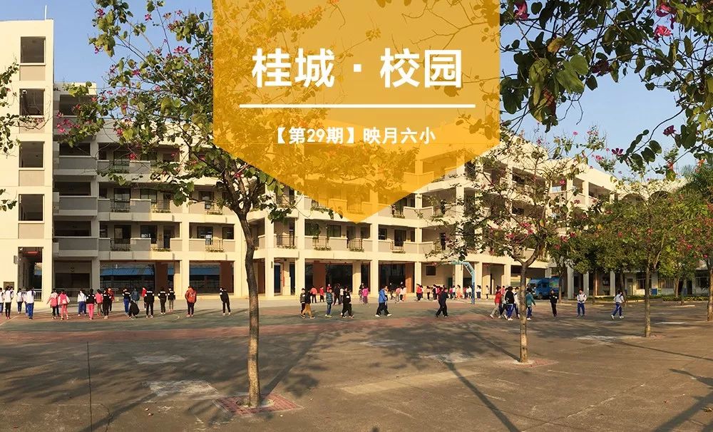 珍贵老照片曝光！夏东这所67年老校，培养一代代文雅君子！