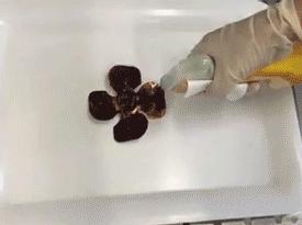 黑科技油烟净,黑科技除垢剂