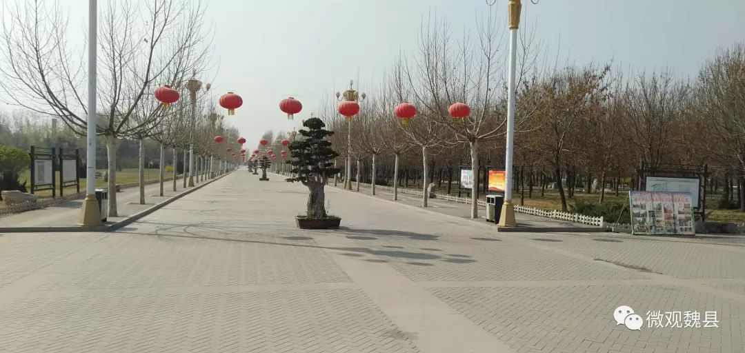 河北魏县创建文明城,河北省2022年创建文明城市景县