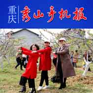 秀山手机报最新一期,秀山手机报今日新闻