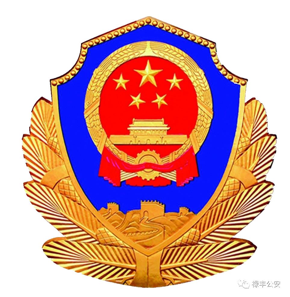 网络贷款诈骗案例大全最新,网络贷款诈骗的典型案例