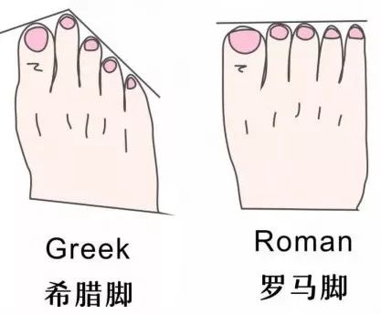 奥黛丽赫本钟爱的猫跟鞋,奥黛丽赫本尖头小黑鞋