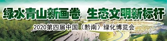 田家炳中学篮球比赛,高中男子足球联赛预选赛