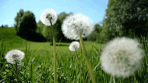 季羡林散文知足知不足,知不足不知足经典语录季羡林