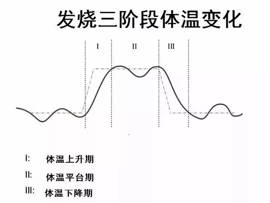 发烧了为什么人身体会热,为什么发烧都会觉得冷手脚都发烫