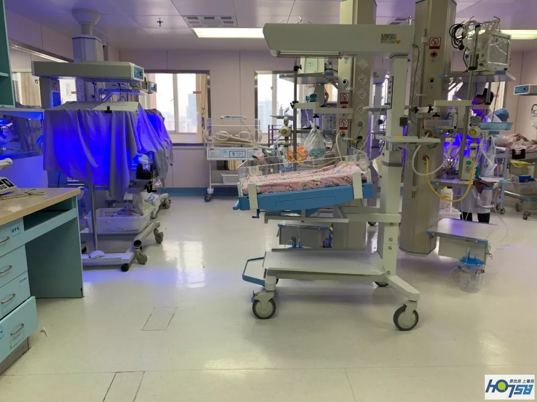 缂栫粐鐢熷懡涔嬬綉,缂栫粐鐢熷懡涔嬬綉浣滃搧