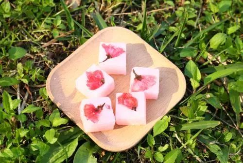 又是一年樱花季原文,又是一年樱花季完整视频