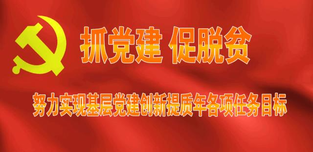褰濊壇瓒崇悆鍗忎細,闀囬泟褰濊壇瓒崇悆