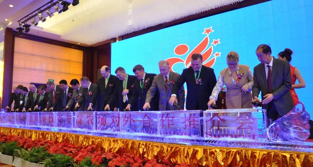 中东欧合作区为什么定在沧州,沧州中东欧企业合作区