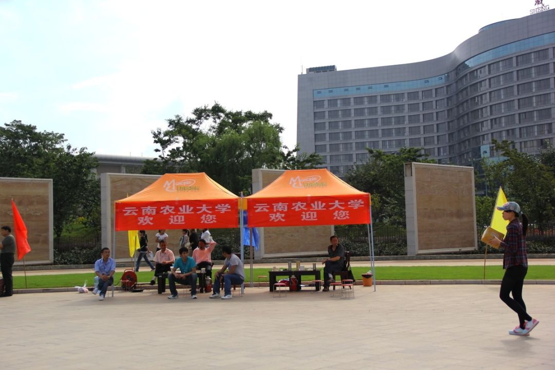 全面开挂！盘龙区大发展！未来不可估量！