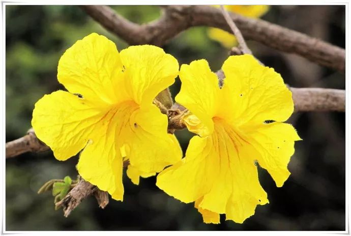 诏安小云水谣,诏安旅游团云水谣景区