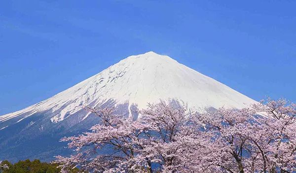 清明时节祭拜已逝的先人,清明前后祭奠世人的最佳时间