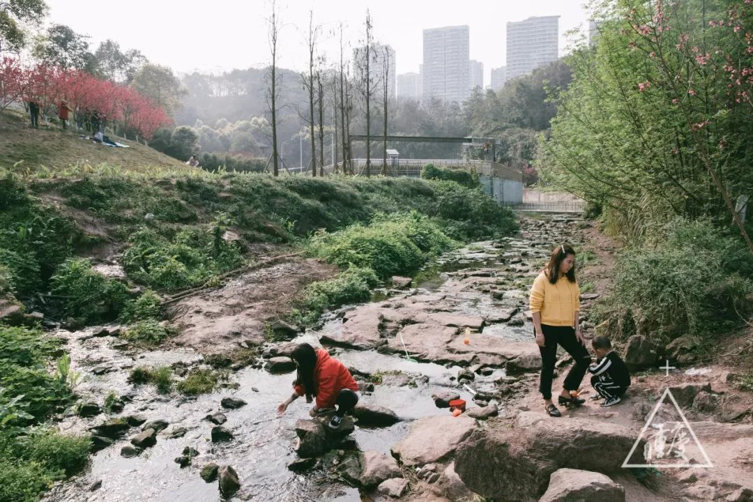 2019年9月份重庆免费活动,2019重庆新打卡地