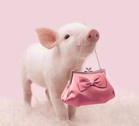 一个动作一周怎么练成腿精,一个正确的腿功怎样练