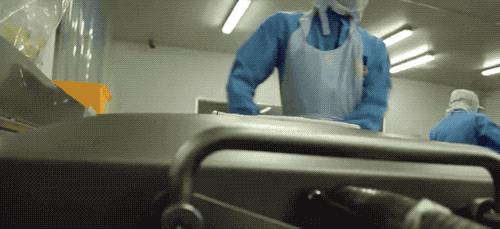 榴莲干特征,榴莲干为什么这么好吃