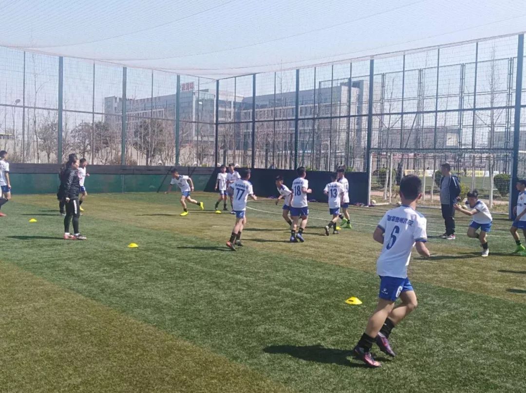 觉醒中的睡狮,中国青超赛场睡狮