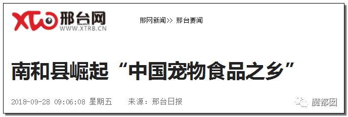 小提琴特色小镇,中国小提琴特色小镇