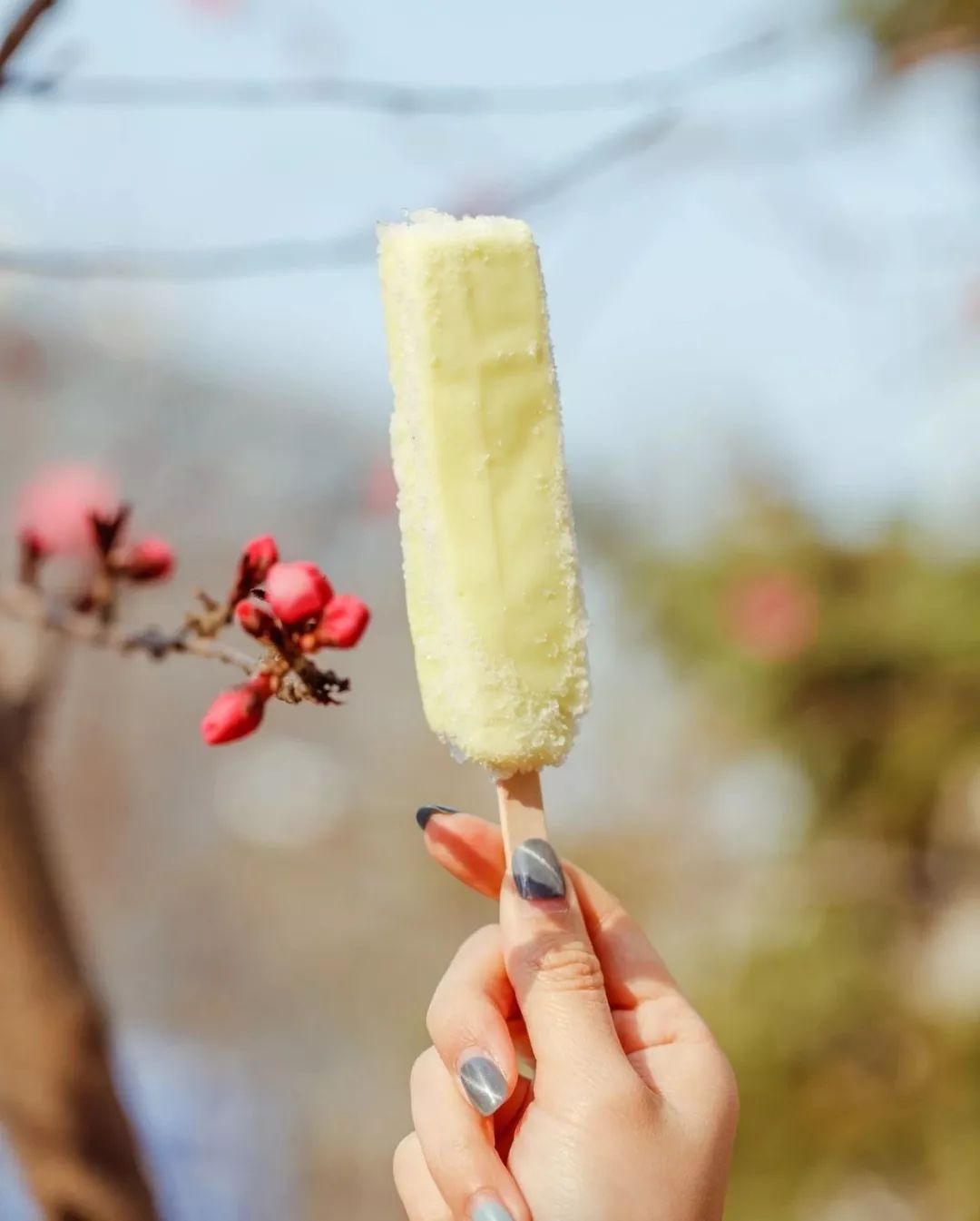 7.11便利店什么雪糕值得买,便利店雪糕品牌选哪些