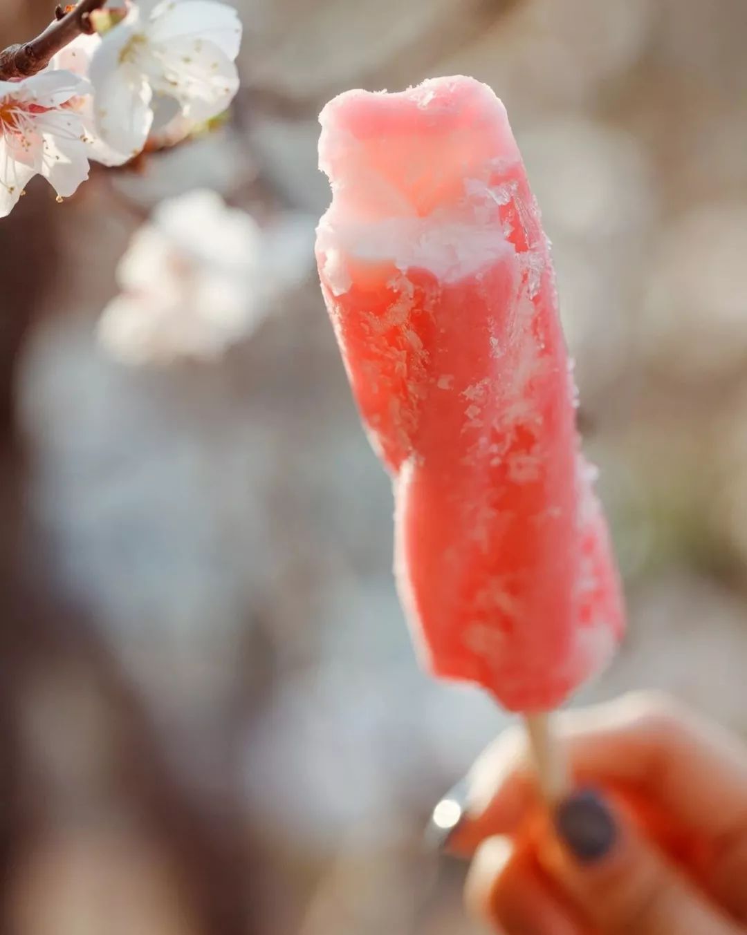 7.11便利店什么雪糕值得买,适合便利店的雪糕