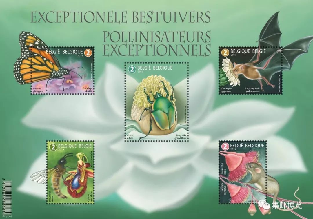 外邮速报|比利时:全国邮政编码聚方寸