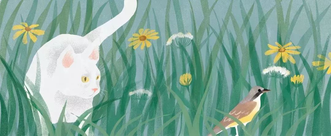 在春天留下一份思念,在阳光明媚的日子里想起了你