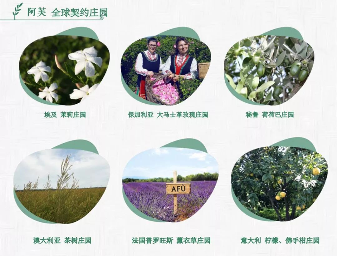 名副其实的防晒乳水润轻薄,平价大碗防晒乳