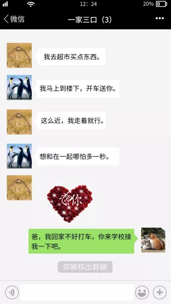 真皮说法|群生百态，不如狗带！