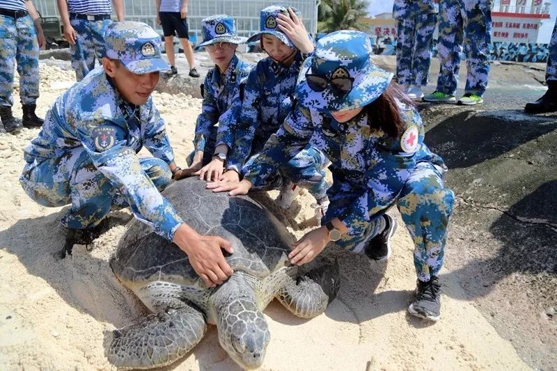 鍗楁捣鑸伴槦姘村叺瑙嗛,娴峰啗鍗楁捣鑸伴槦姘村叺瑙嗛