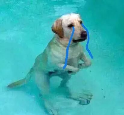 俄罗斯的化妆品质量好吗,为什么俄罗斯的化妆品最便宜