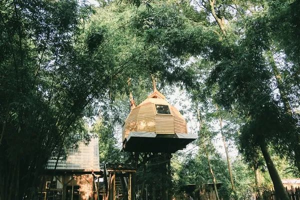 崇州自然赏花美景,崇州青山绿水