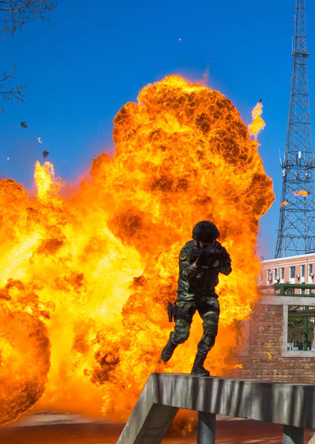 鹰击长空图片,鹰击长空完整版