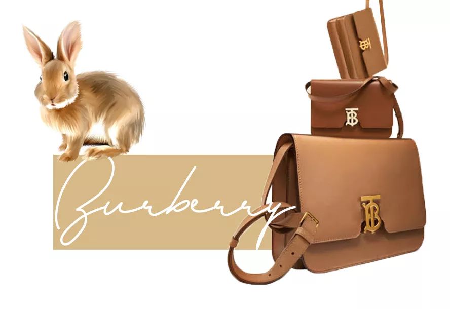 这次出国，我竟然什么都没买