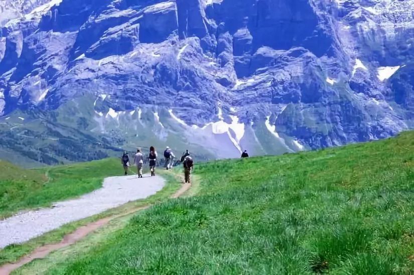 野外遇险如何求救安全教案,野外遇险时该如何自救视频