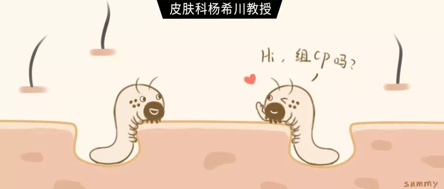 大量的螨虫,成千上万只螨虫看得见吗