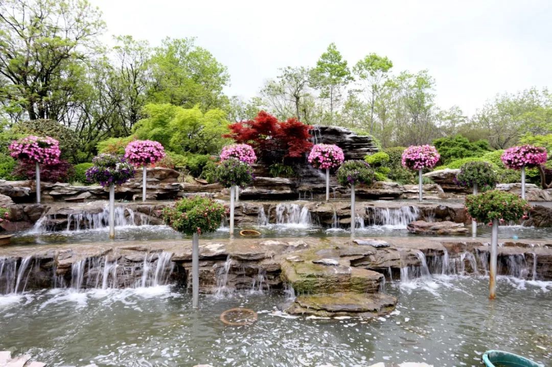 上海魔都景区,上海魔都必去景点免费