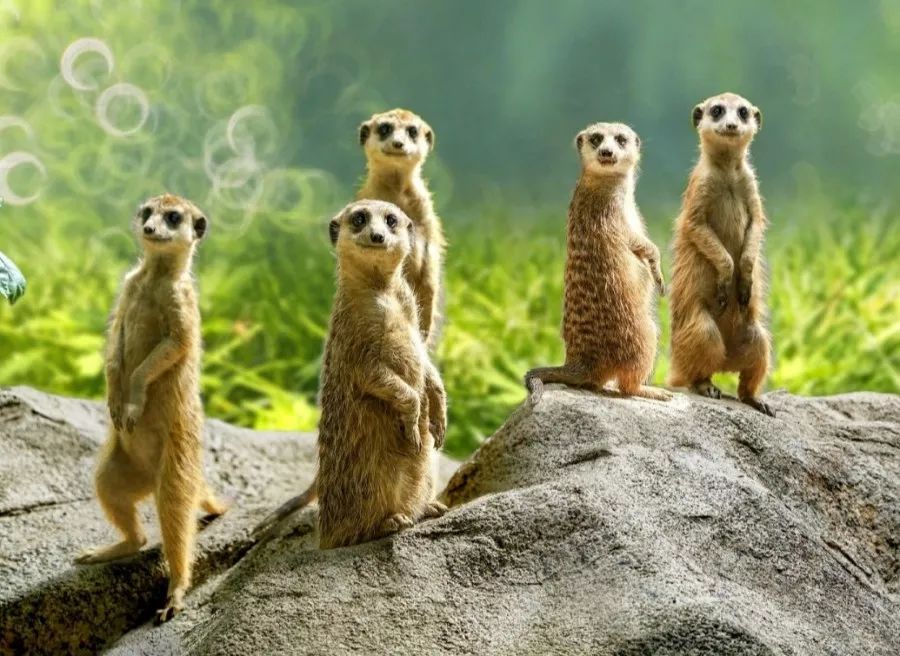 上海魔都景区,上海魔都必去景点免费