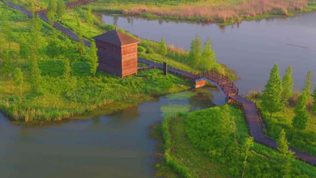 上海魔都景区,上海魔都必去景点免费