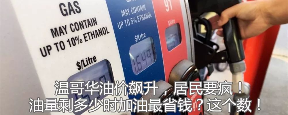 出国那么好？上海5套房的姑娘在加拿大给人洗脚，大学教授切肉博士生扫地