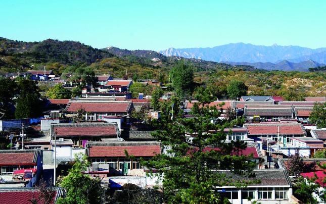 武陟托养中心,集中供养托养