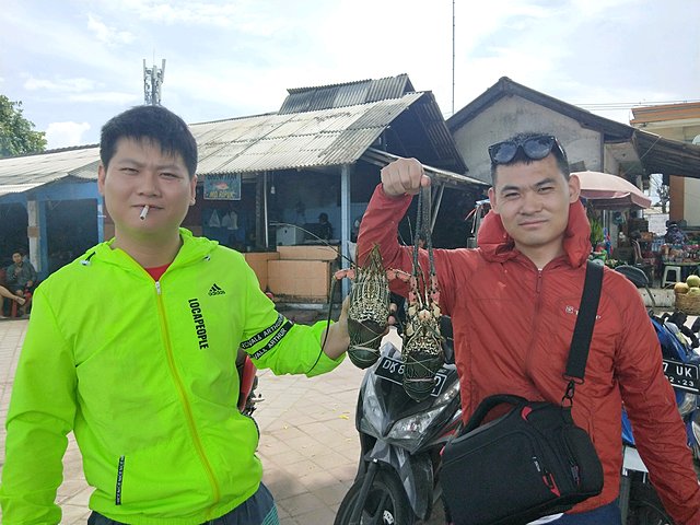 巴厘岛漂流跟团游一日游,巴厘岛冲浪潜水行程推荐