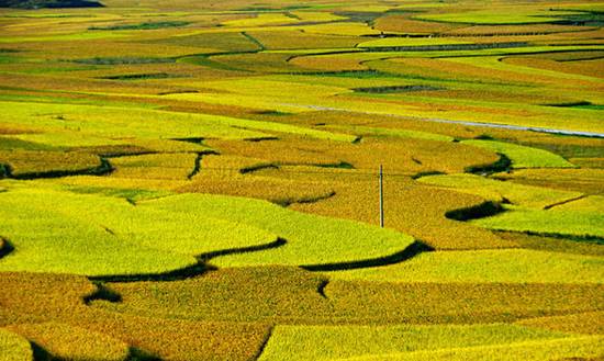 江西婺源十一旅游攻略,十一月婺源详细攻略