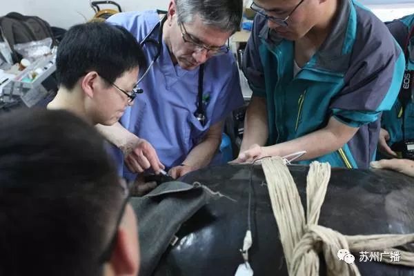 世界最孤独的中国神兽,全球十大孤独神兽