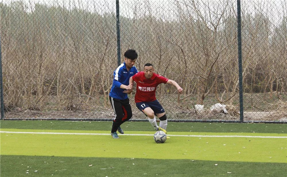 青超排名,青超四强队