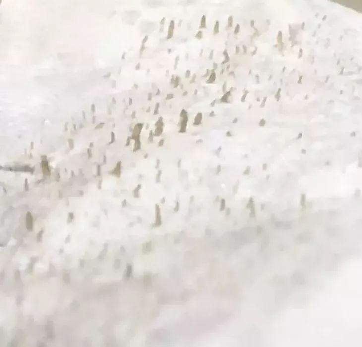 又爽又恶心的去黑头方法来了！5分钟将你10年的黑头白头连根拔起！