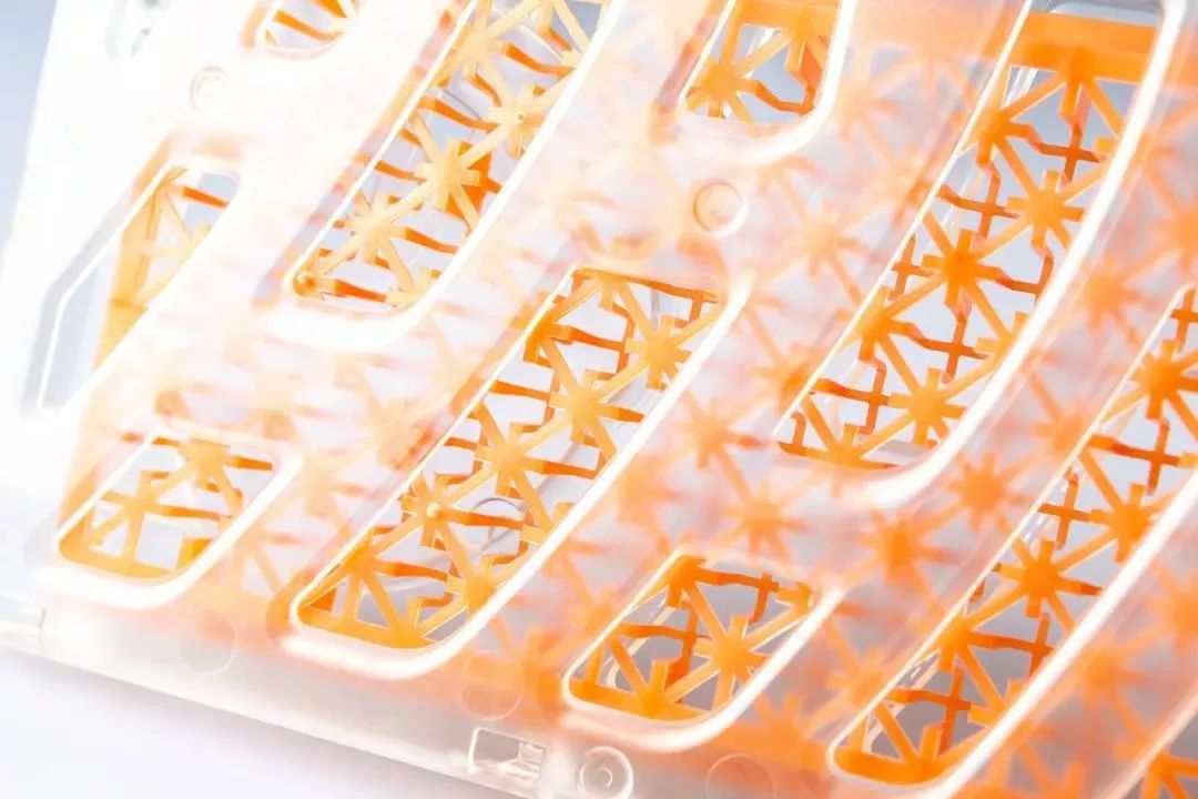 日本蚊帐最新款,日本家庭隐形蚊帐