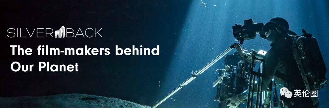 bbc经典必看十大纪录片,bbc十大经典纪录片9.9