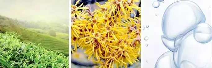 白头黑头到底拔不拔,黑头反反复复如何根治