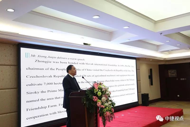 热烈欢迎斯洛伐克商务代表团来我区访问——我区举行中斯企业合作洽谈会