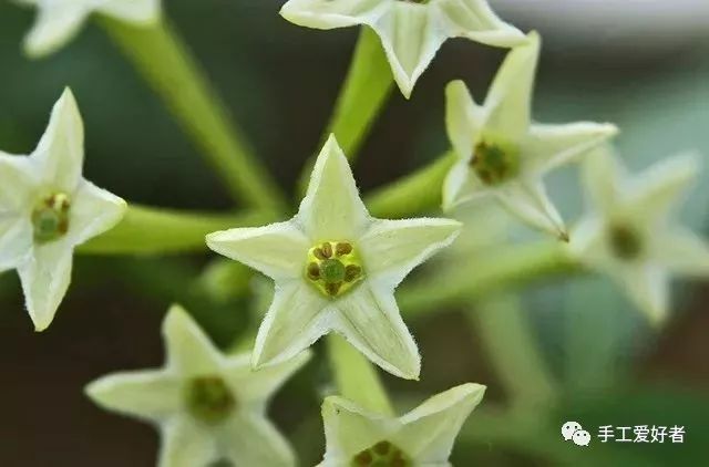 日本隐形蚊帐神器,日本折叠蚊帐
