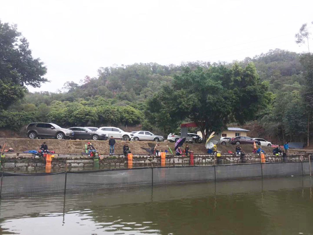 厦门海沧必去的美食店,厦门海沧地道美食